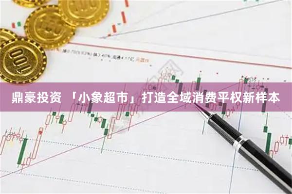 鼎豪投资 「小象超市」打造全域消费平权新样本