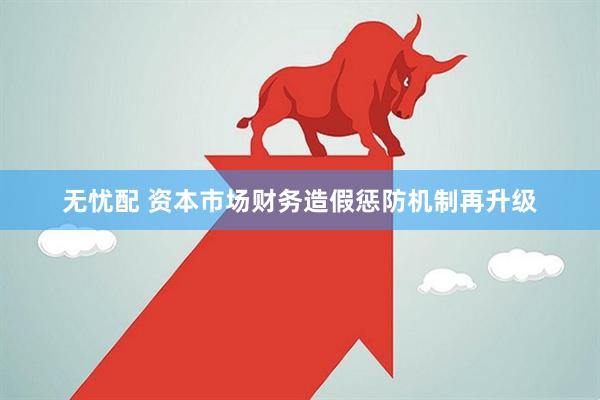 无忧配 资本市场财务造假惩防机制再升级