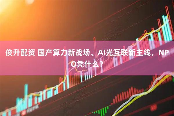 俊升配资 国产算力新战场、AI光互联新主线，NPO凭什么？